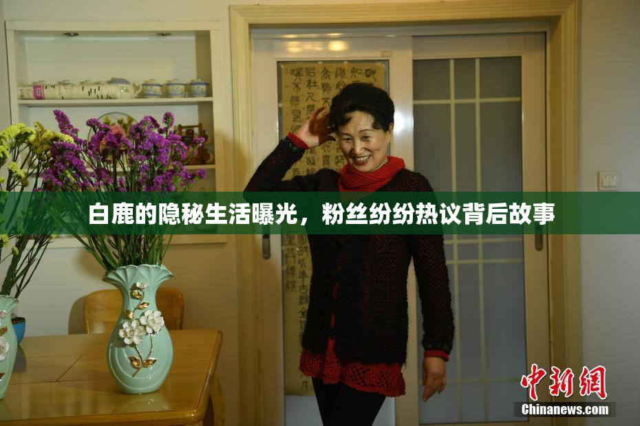 白鹿的隐秘生活曝光，粉丝纷纷热议背后故事