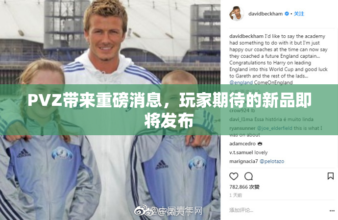 PVZ带来重磅消息，玩家期待的新品即将发布