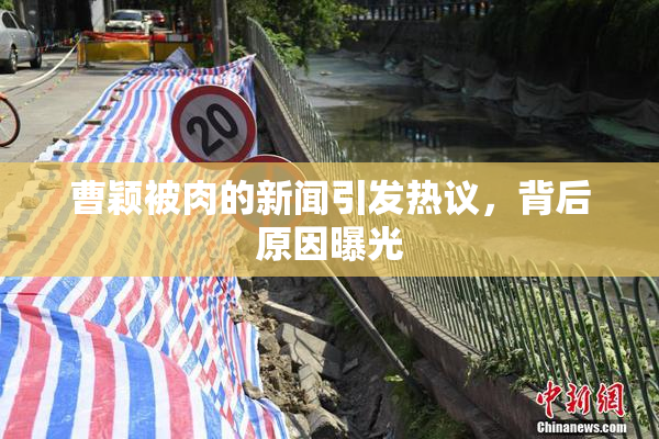 曹颖被肉的新闻引发热议，背后原因曝光