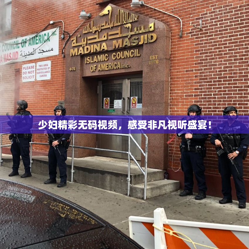 少妇精彩无码视频，感受非凡视听盛宴！