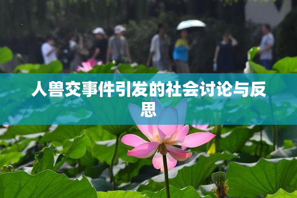 人兽交事件引发的社会讨论与反思