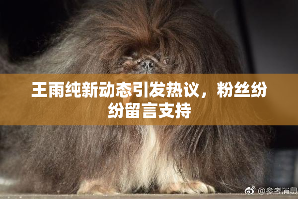 王雨纯新动态引发热议，粉丝纷纷留言支持