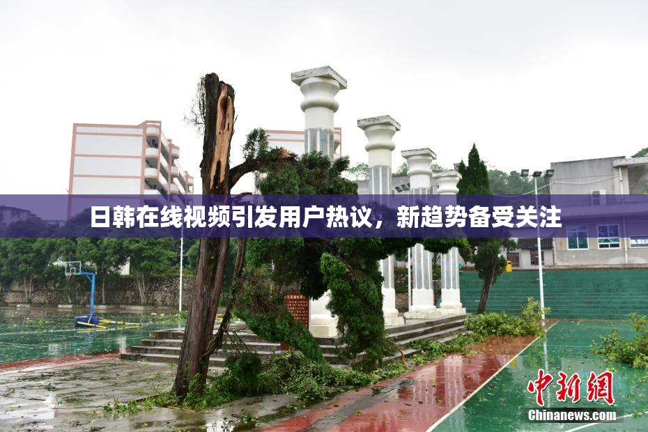 日韩在线视频引发用户热议，新趋势备受关注