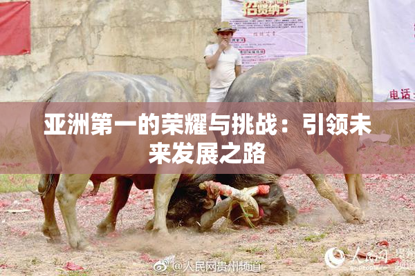 亚洲第一的荣耀与挑战：引领未来发展之路