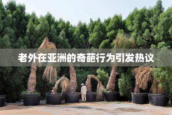 老外在亚洲的奇葩行为引发热议