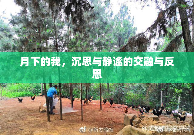 月下的我，沉思与静谧的交融与反思