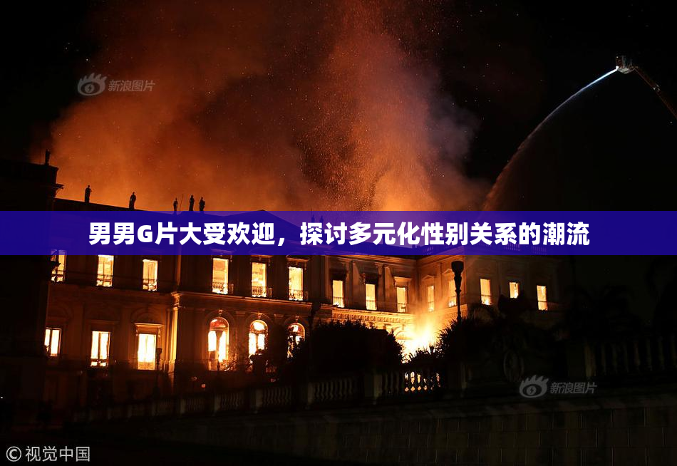 男男G片大受欢迎，探讨多元化性别关系的潮流