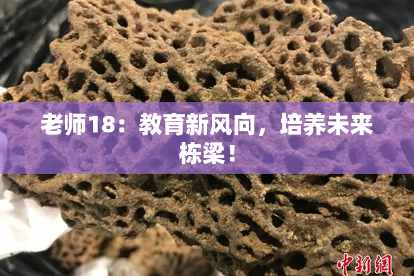 老师18：教育新风向，培养未来栋梁！