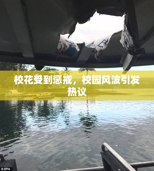 校花受到惩戒，校园风波引发热议