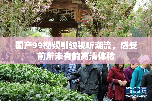 国产99视频引领视听潮流，感受前所未有的高清体验