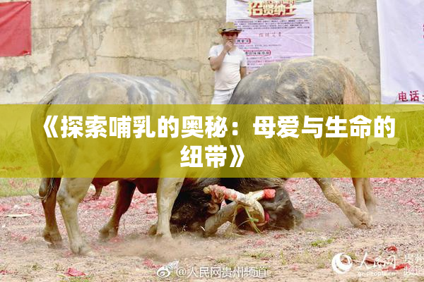 《探索哺乳的奥秘：母爱与生命的纽带》