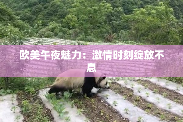 欧美午夜魅力：激情时刻绽放不息