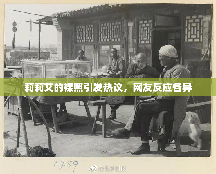 莉莉艾的裸照引发热议，网友反应各异