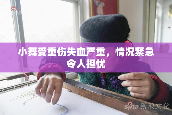 小舞受重伤失血严重，情况紧急令人担忧
