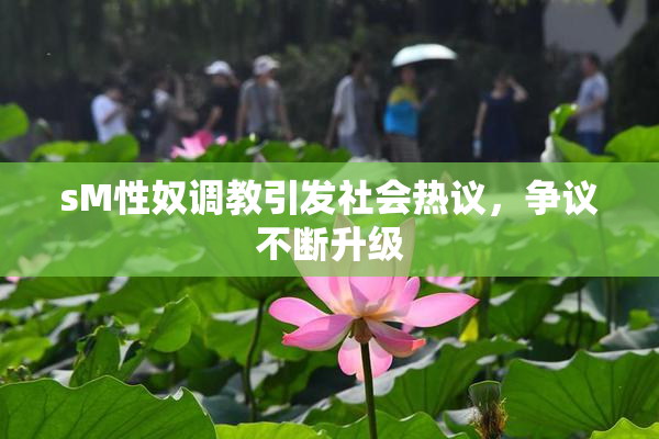 sM性奴调教引发社会热议，争议不断升级
