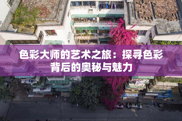 色彩大师的艺术之旅：探寻色彩背后的奥秘与魅力