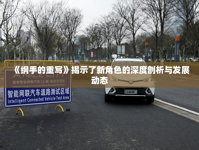 《纲手的重写》揭示了新角色的深度剖析与发展动态