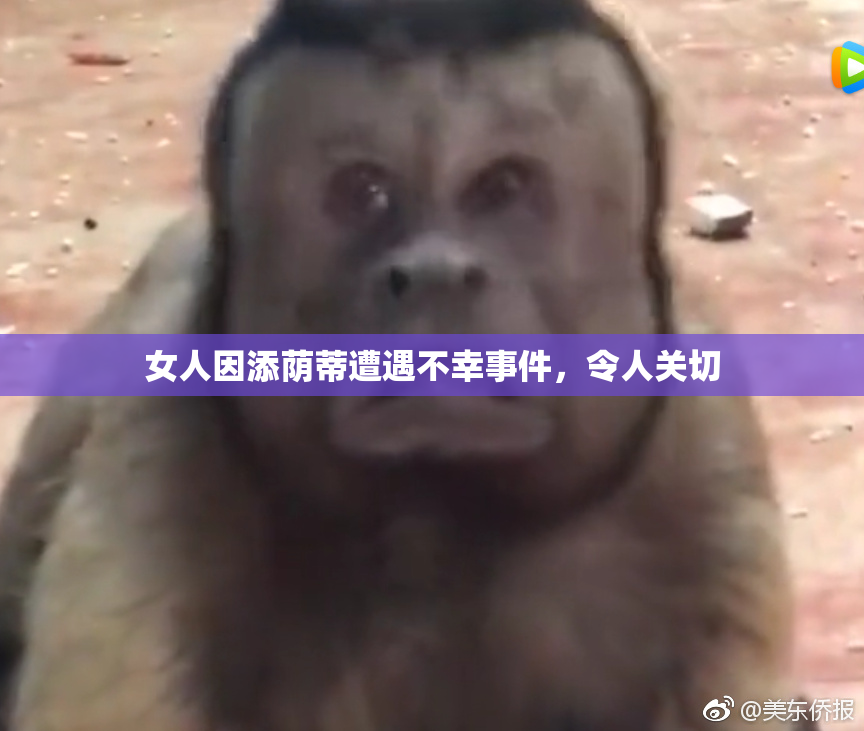 女人因添荫蒂遭遇不幸事件，令人关切