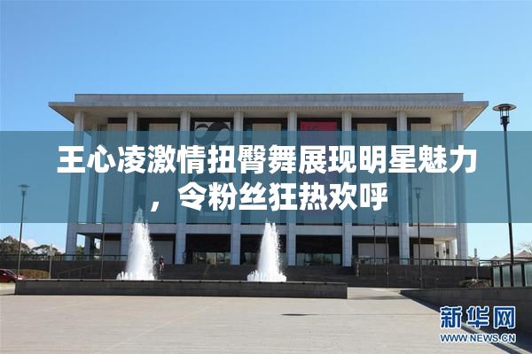 王心凌激情扭臀舞展现明星魅力，令粉丝狂热欢呼