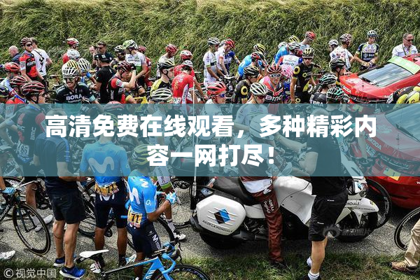 高清免费在线观看，多种精彩内容一网打尽！