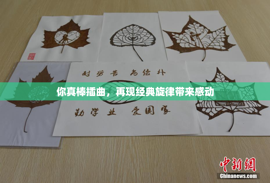 你真棒插曲，再现经典旋律带来感动