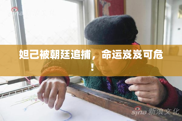 妲己被朝廷追捕，命运岌岌可危！