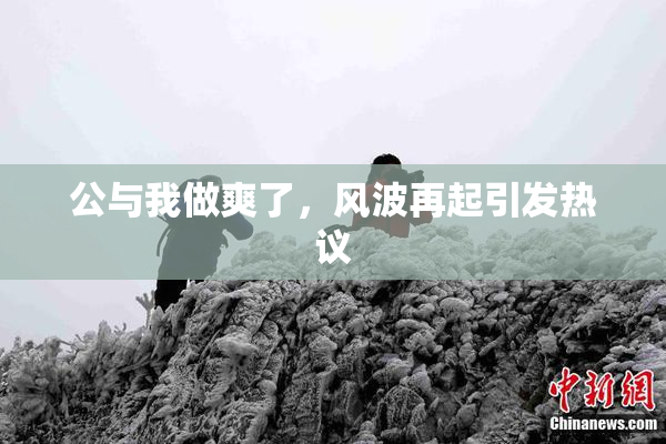 公与我做爽了，风波再起引发热议