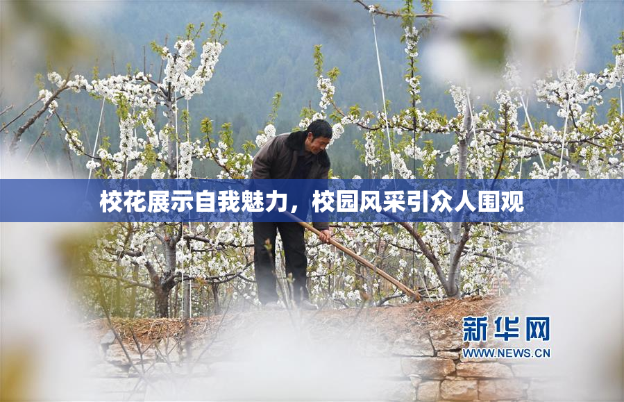 校花展示自我魅力，校园风采引众人围观