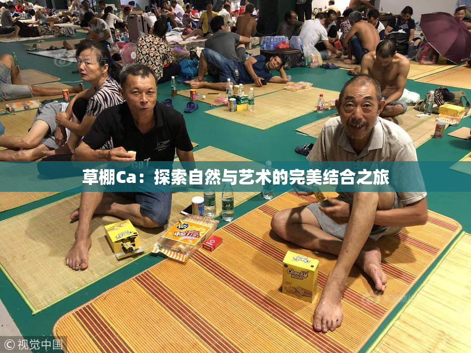 草棚Ca：探索自然与艺术的完美结合之旅