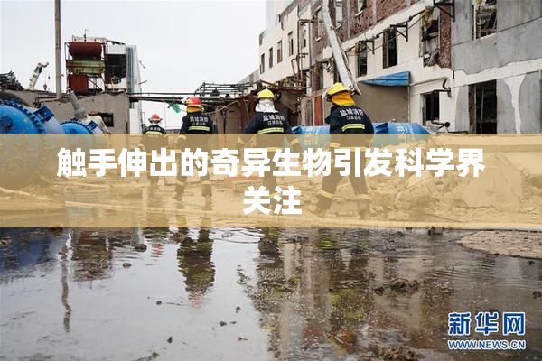 触手伸出的奇异生物引发科学界关注