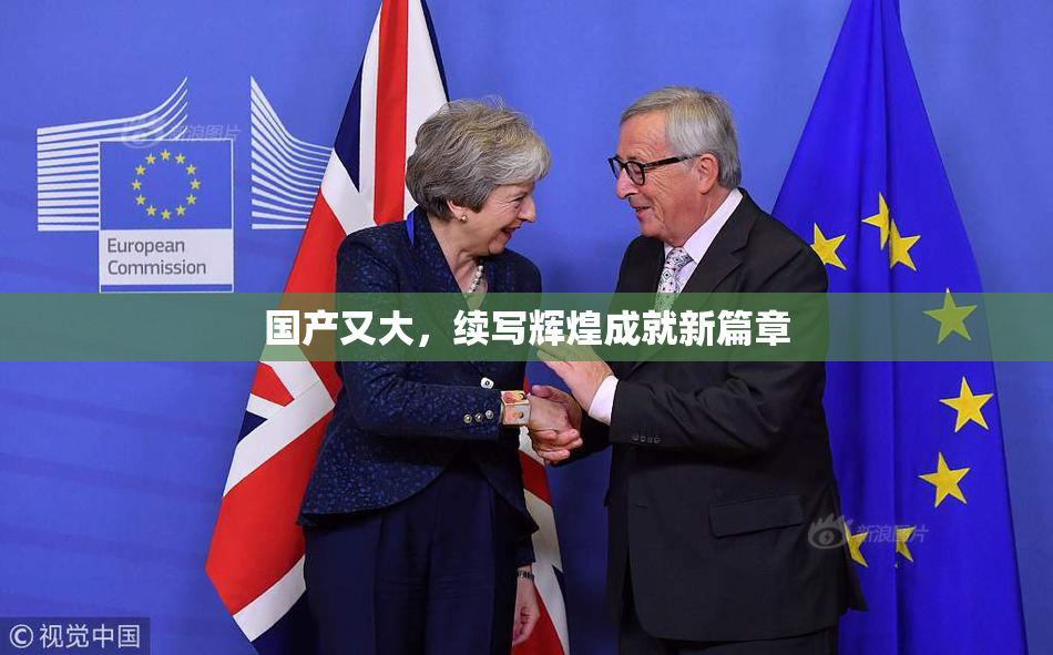 国产又大，续写辉煌成就新篇章