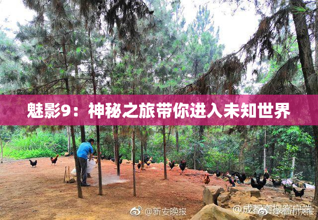 魅影9：神秘之旅带你进入未知世界