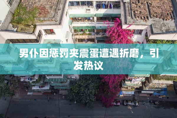 男仆因惩罚夹震蛋遭遇折磨，引发热议