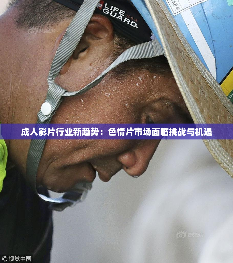 成人影片行业新趋势：色情片市场面临挑战与机遇