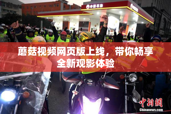 蘑菇视频网页版上线，带你畅享全新观影体验
