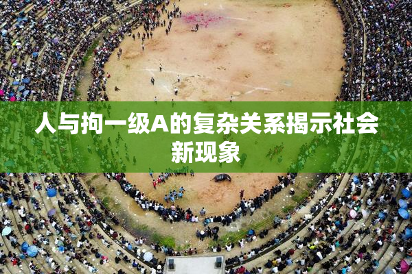人与拘一级A的复杂关系揭示社会新现象