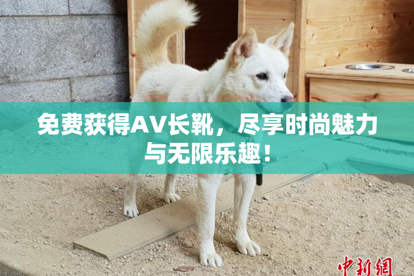 免费获得AV长靴，尽享时尚魅力与无限乐趣！