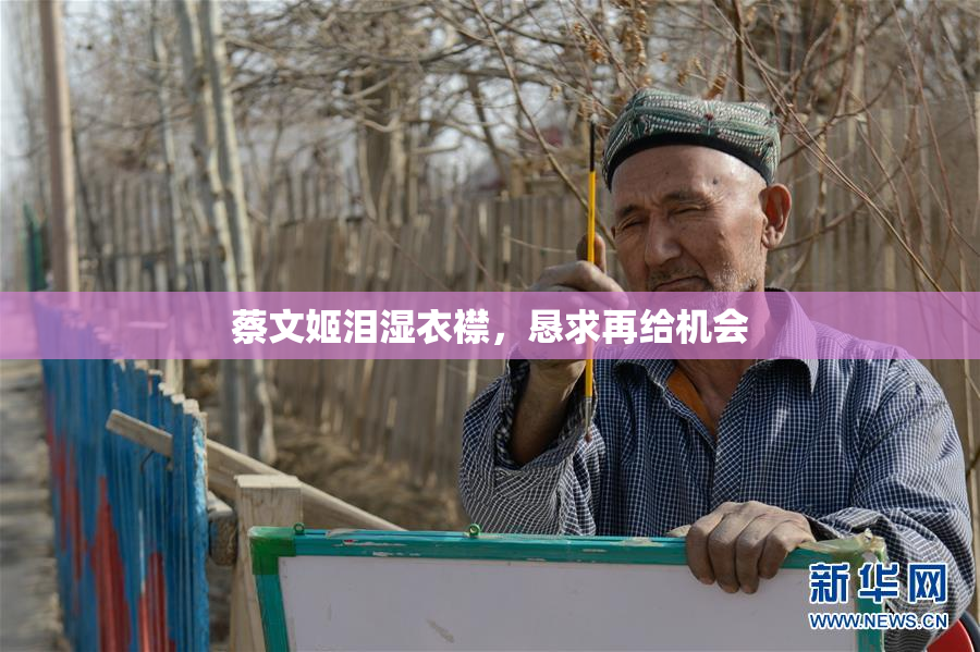 蔡文姬泪湿衣襟，恳求再给机会