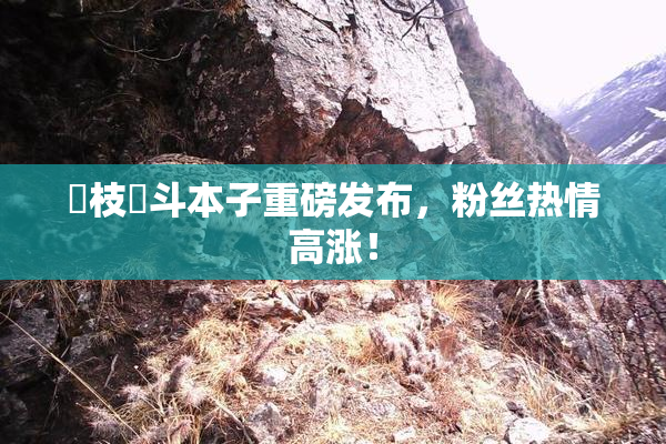 狛枝凪斗本子重磅发布，粉丝热情高涨！
