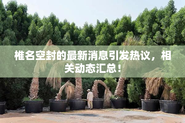 椎名空封的最新消息引发热议，相关动态汇总！