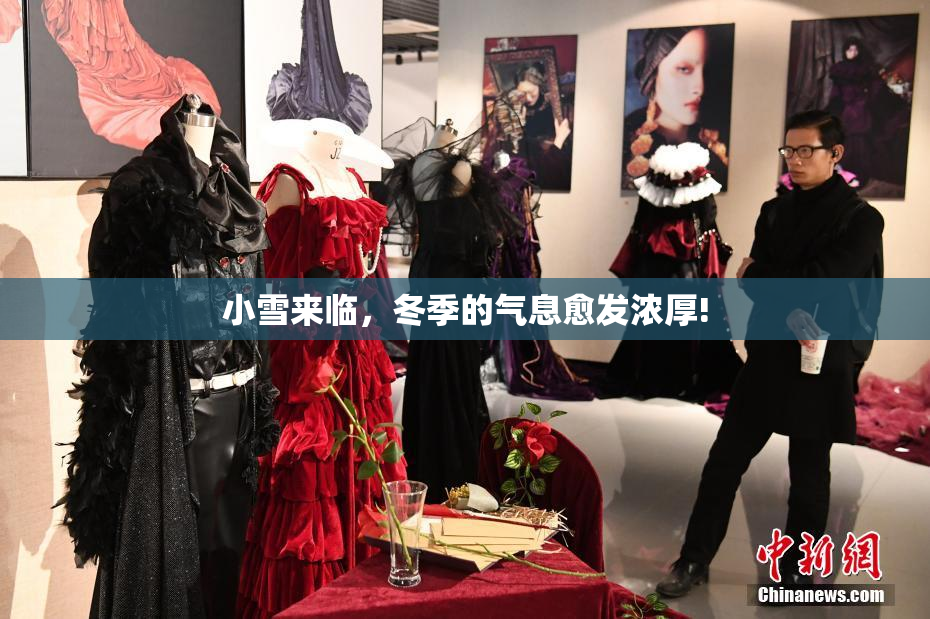 小雪来临，冬季的气息愈发浓厚!
