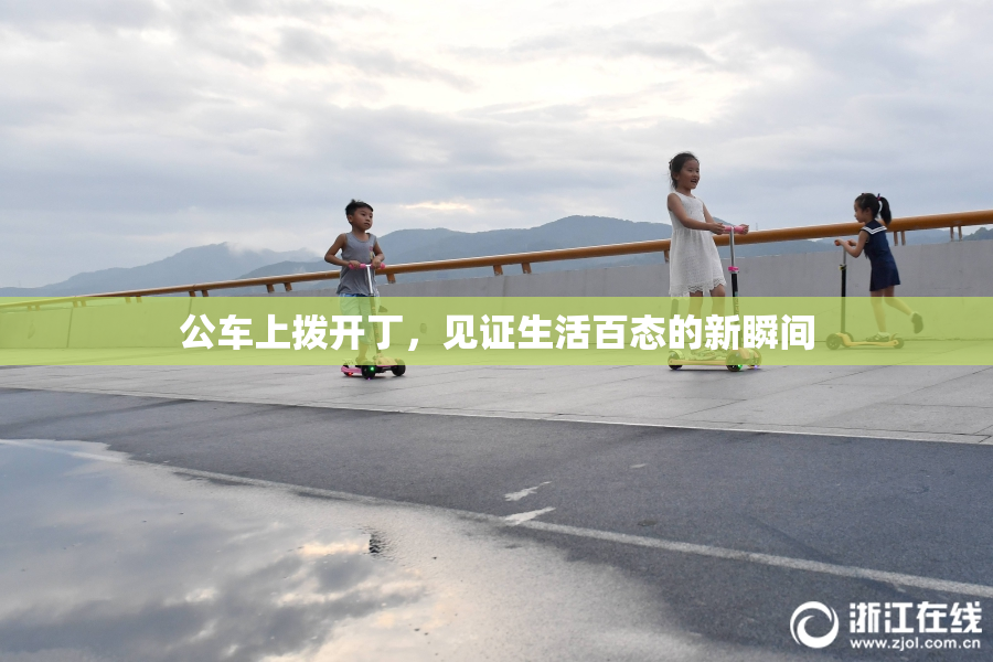 公车上拨开丁，见证生活百态的新瞬间