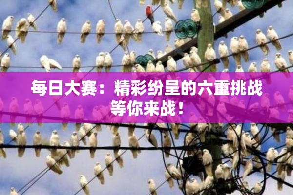每日大赛：精彩纷呈的六重挑战等你来战！