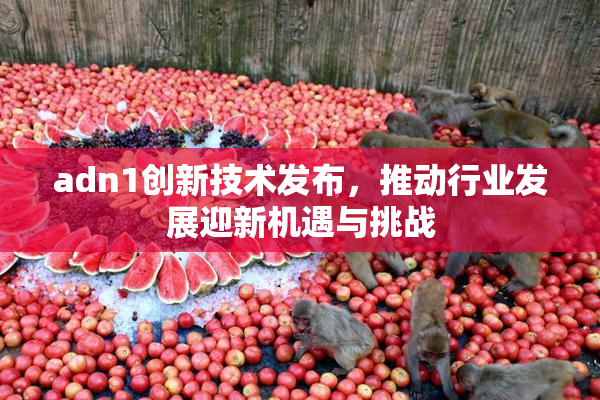 adn1创新技术发布，推动行业发展迎新机遇与挑战