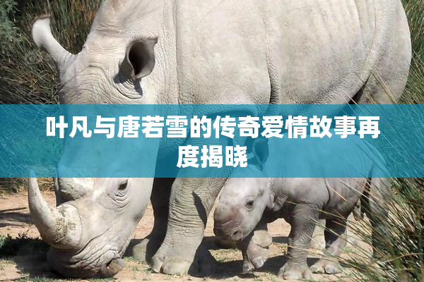 叶凡与唐若雪的传奇爱情故事再度揭晓