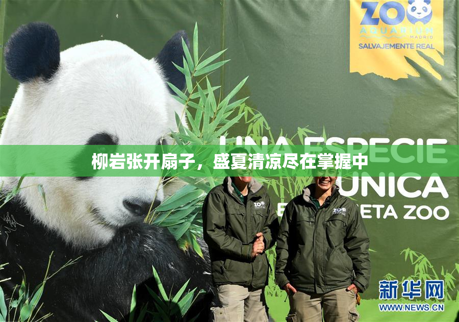 柳岩张开扇子，盛夏清凉尽在掌握中