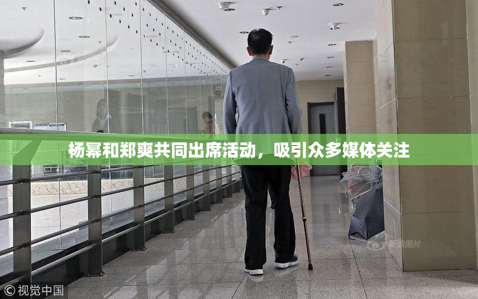 杨幂和郑爽共同出席活动，吸引众多媒体关注