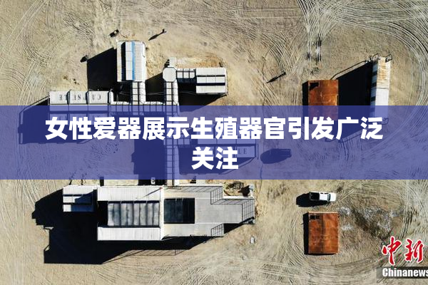 女性爱器展示生殖器官引发广泛关注