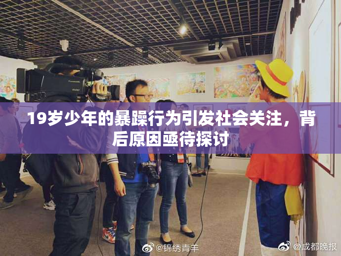 19岁少年的暴躁行为引发社会关注，背后原因亟待探讨