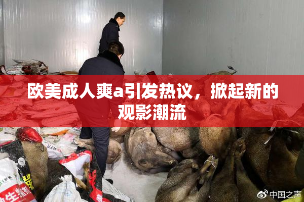 欧美成人爽a引发热议，掀起新的观影潮流